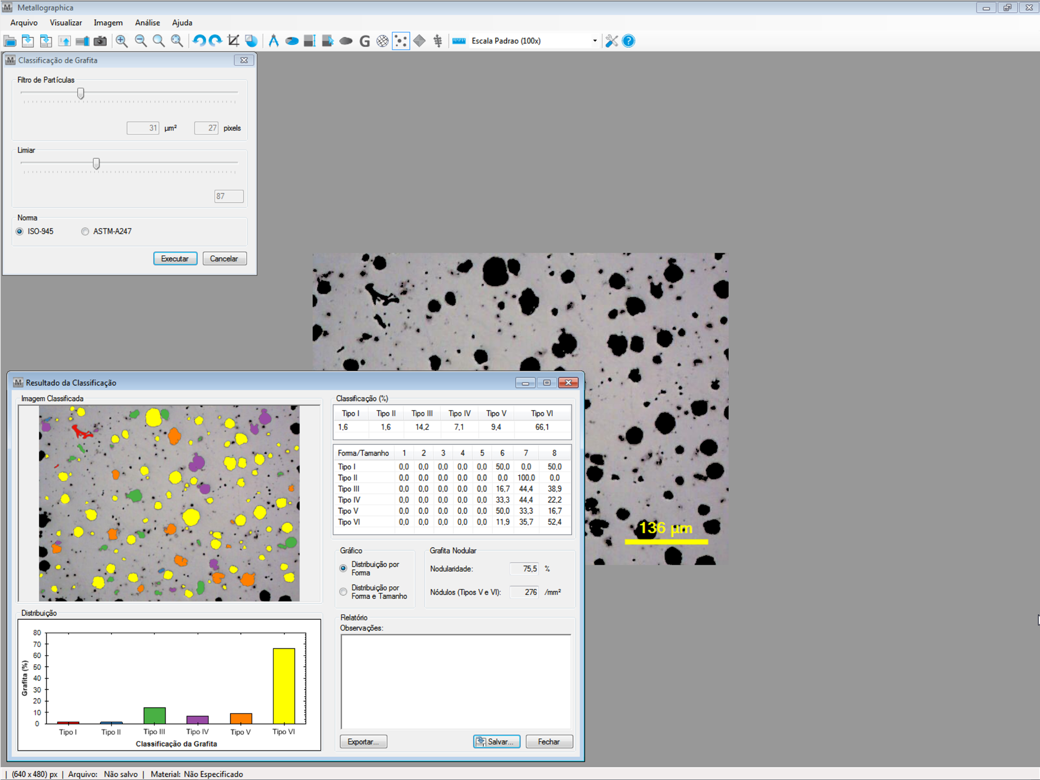 Interface do Metallographica para classificação de grafita